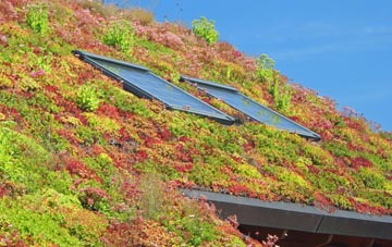 North Hykeham living roof systems